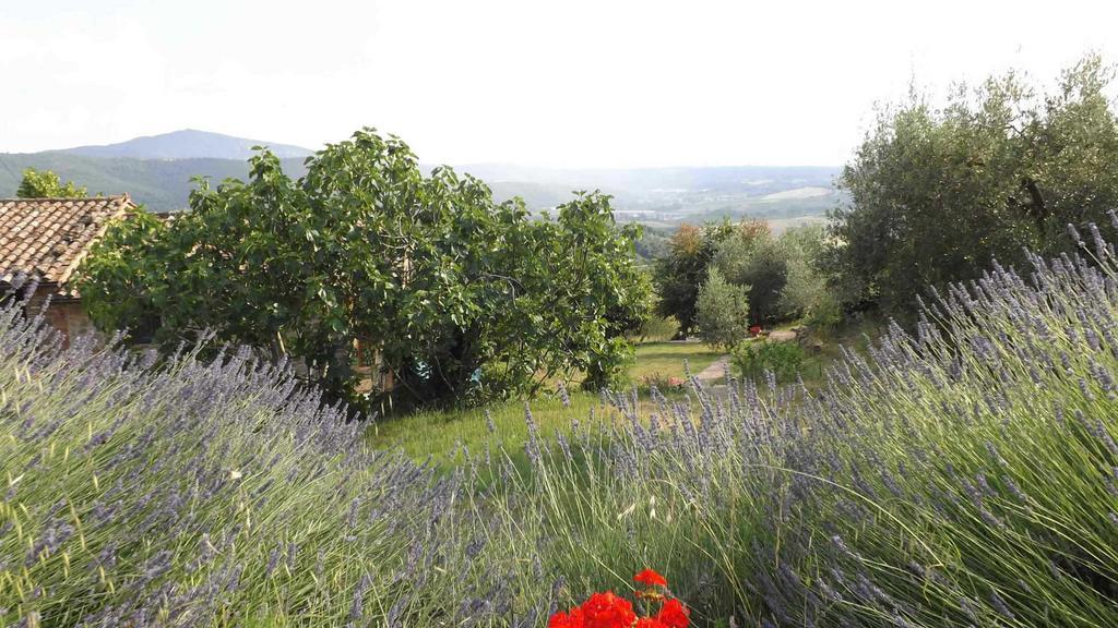 Casa Lorenzo Panicale Zewnętrze zdjęcie